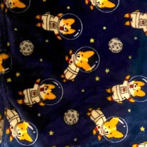 Dog in Space Blanket